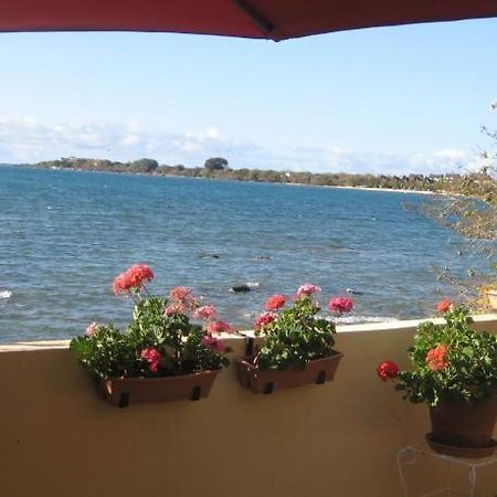 Le Cactus Guesthouse Terre Rouge  Dış mekan fotoğraf